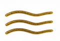 Trout Worms - 20 pack