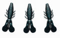 Rodeo Bug - 6 pack
